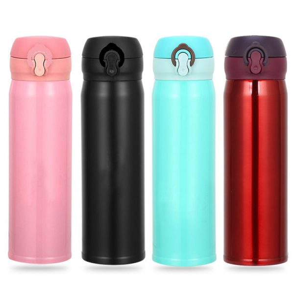evo stainless flask