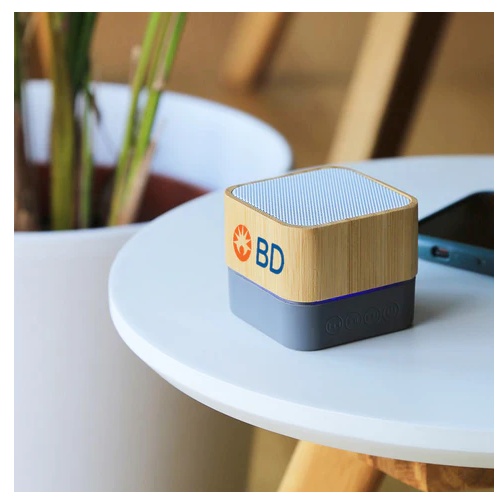 Bamboo Bluetooth Speaker Bamboo Bluetooth Speaker